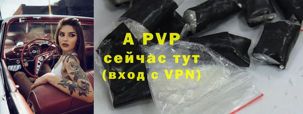 крисы Алексин