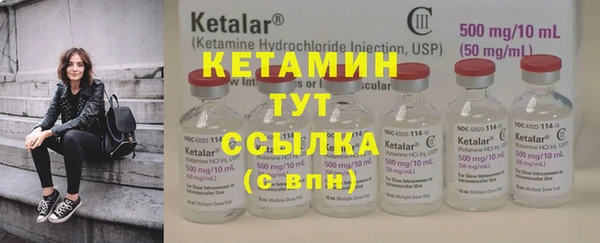 крисы Алексин