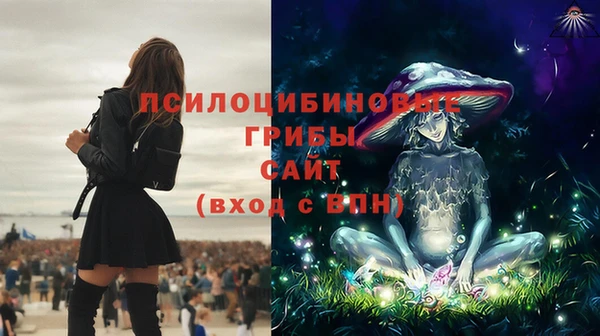 крисы Алексин