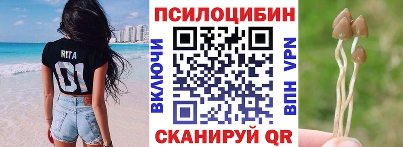Галлюциногенные грибы GOLDEN TEACHER  мега как войти  Майкоп 